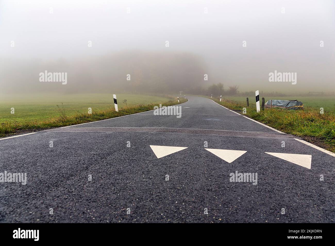 White triangles on roadway, shark's teeth, speed limit markings, winding road to Köterberg, dreary autumn weather with fog, Lügde, Weserbergland, Nort Stock Photo