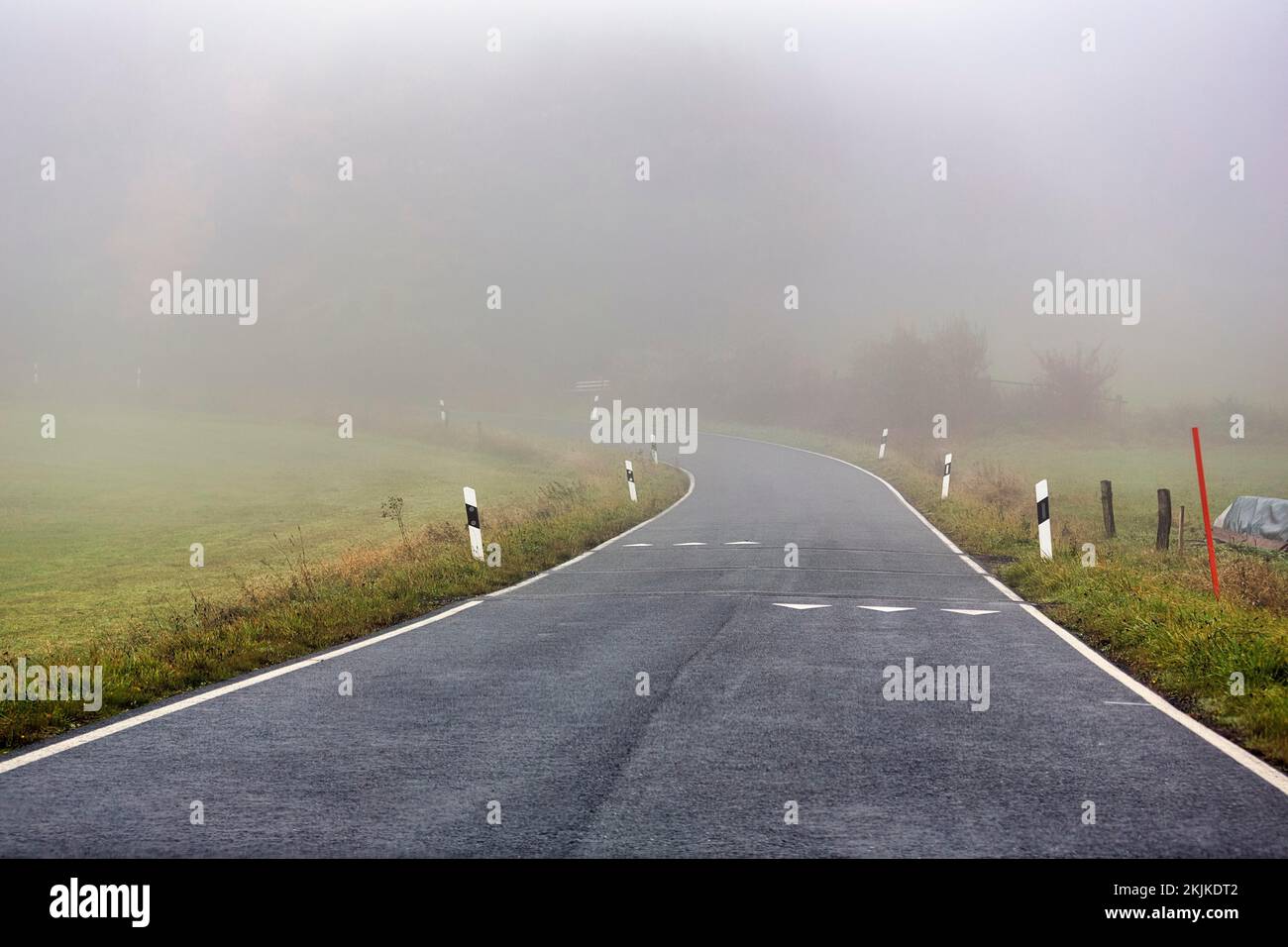 Curvy road to Köterberg, speed limit markings on roadway, shark's teeth, dreary autumn weather with fog, Lügde, Weserbergland, North Rhine-Westphalia, Stock Photo