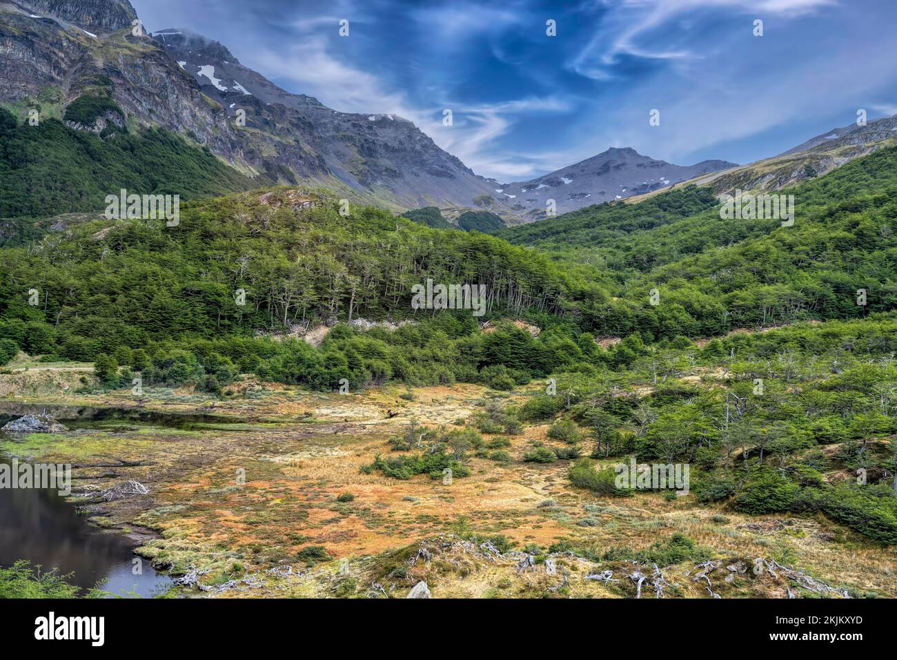 Moor and Forest and Mountain Landscape Ushuaia Argentina Stock Photo