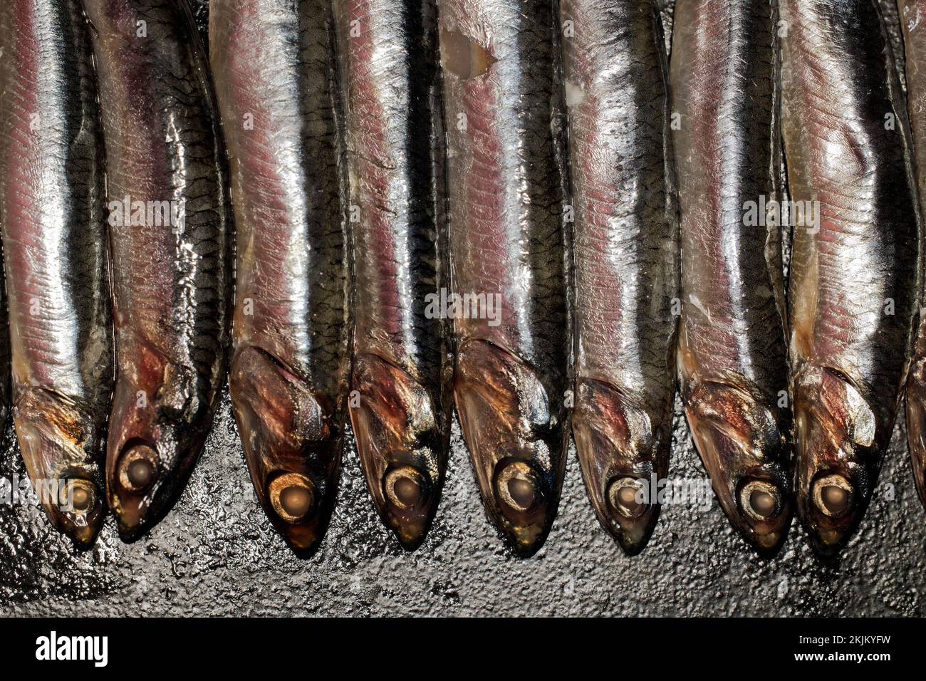 Anchovies, european anchovy (Engraulis encrasicolus) anchovies, food photography Stock Photo