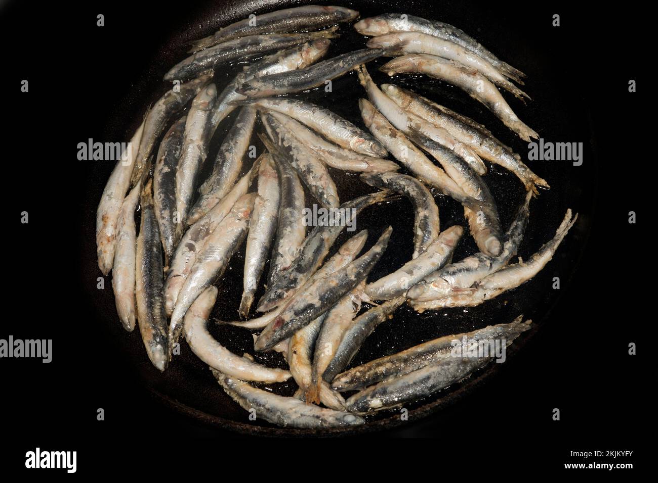 Anchovies fried in a pan, european anchovy (Engraulis encrasicolus