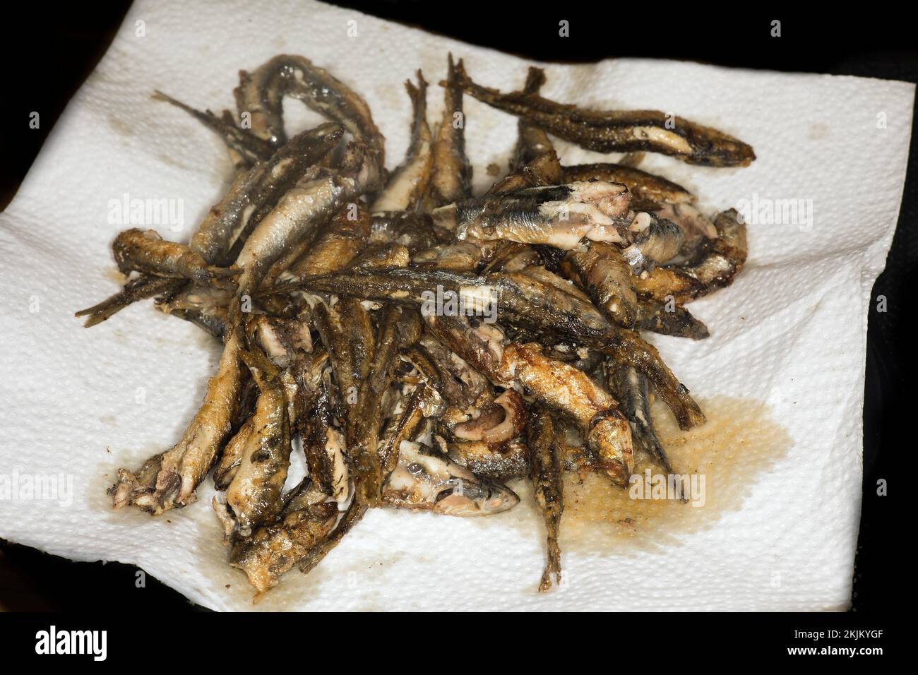 Fried anchovies, european anchovy (Engraulis encrasicolus) anchovies