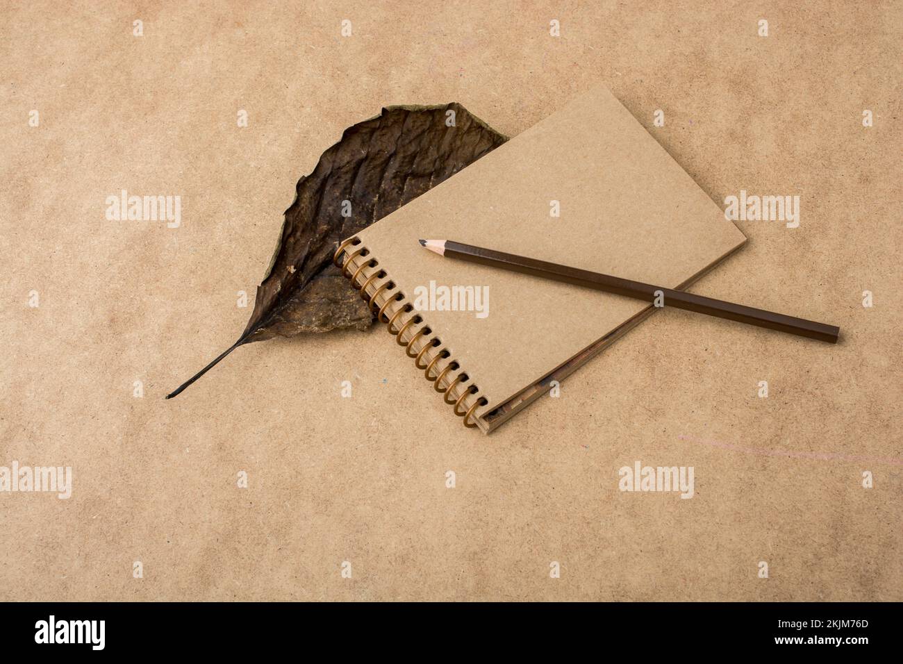 Spiral notebook, color pencil and a dry leaf a brown background Stock Photo