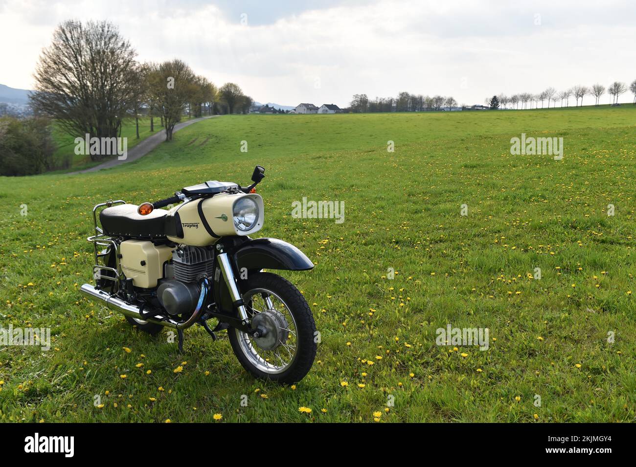 Vintage motorbike from the GDR MZ ES 250, Hesse, Germany, Europe Stock Photo