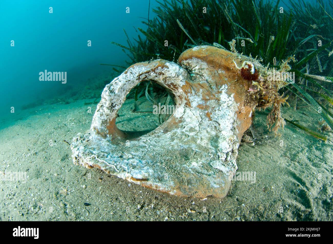Roman amphora neck, 'côte agathoise' Marine Protected Area, gulf of Lion, Cap d'Agde, France, Europe Stock Photo