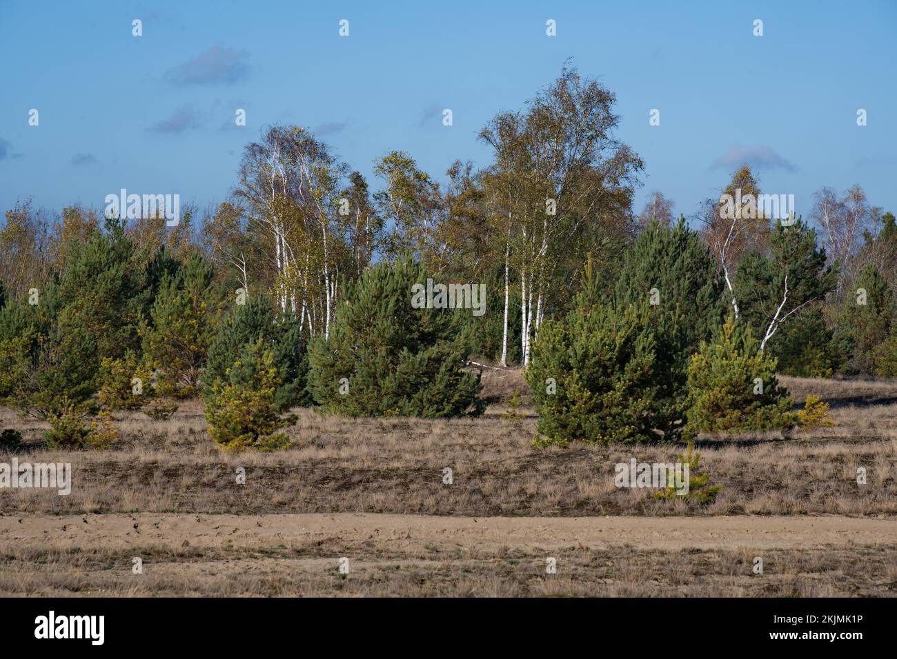 Military training pioneer hi-res stock photography and images - Alamy