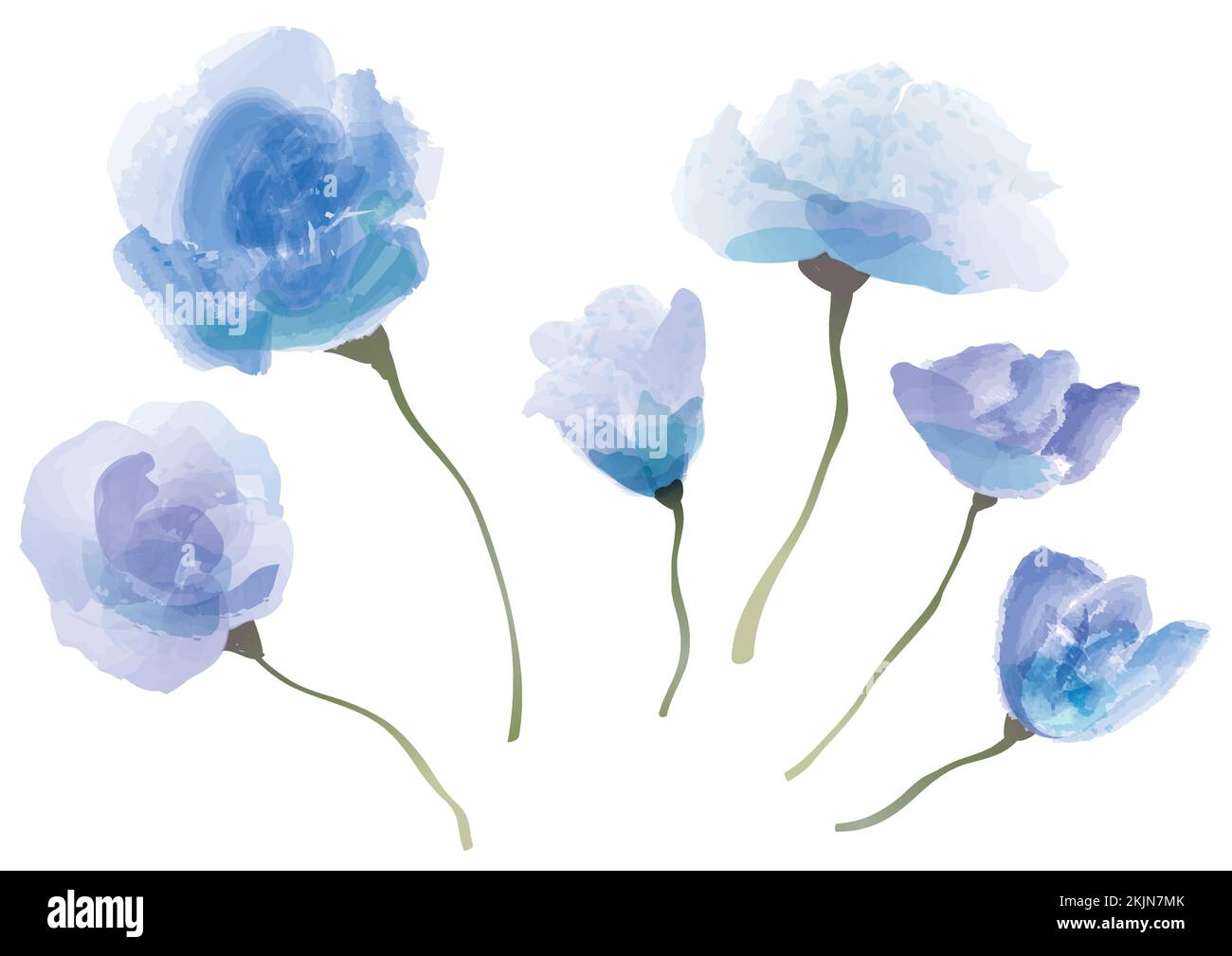 Set Of Botanical Elements Isolated On A White Background. Vector Illustration. Stock Vector