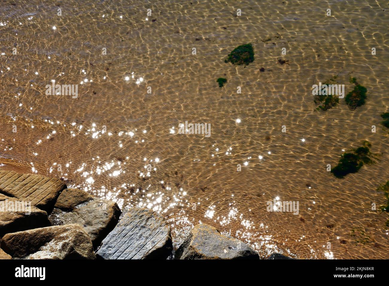 View looking down at the shallow sea water with rocks in the foreground, Sidmouth, Devon, UK, Europe Stock Photo