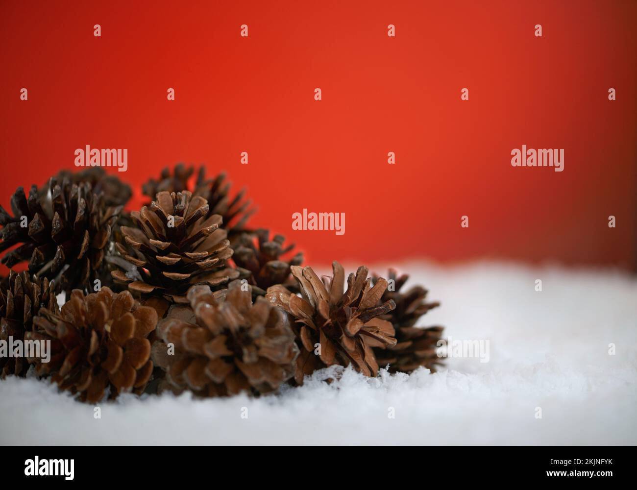 Pine cones snow hi-res stock photography and images - Alamy
