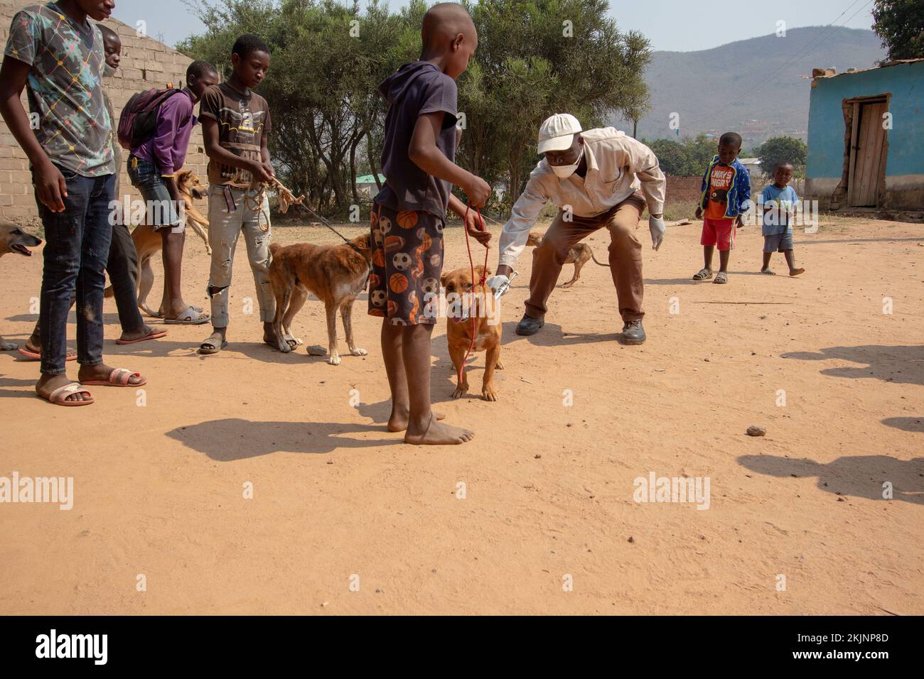 Start of mass vaccination campaign in World Rabies Day Stock Photo