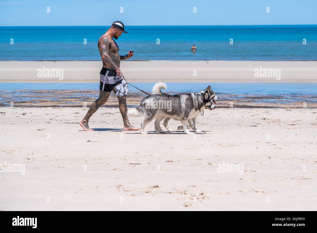 Adelaide, Australia. 25 November 2022.  A man walks his dogs along the ocean shore during the hot weather  in Adelaide Australia as temperatures are forecast to reach above 30celsius. Credit: amer ghazzal/Alamy Live News Stock Photo
