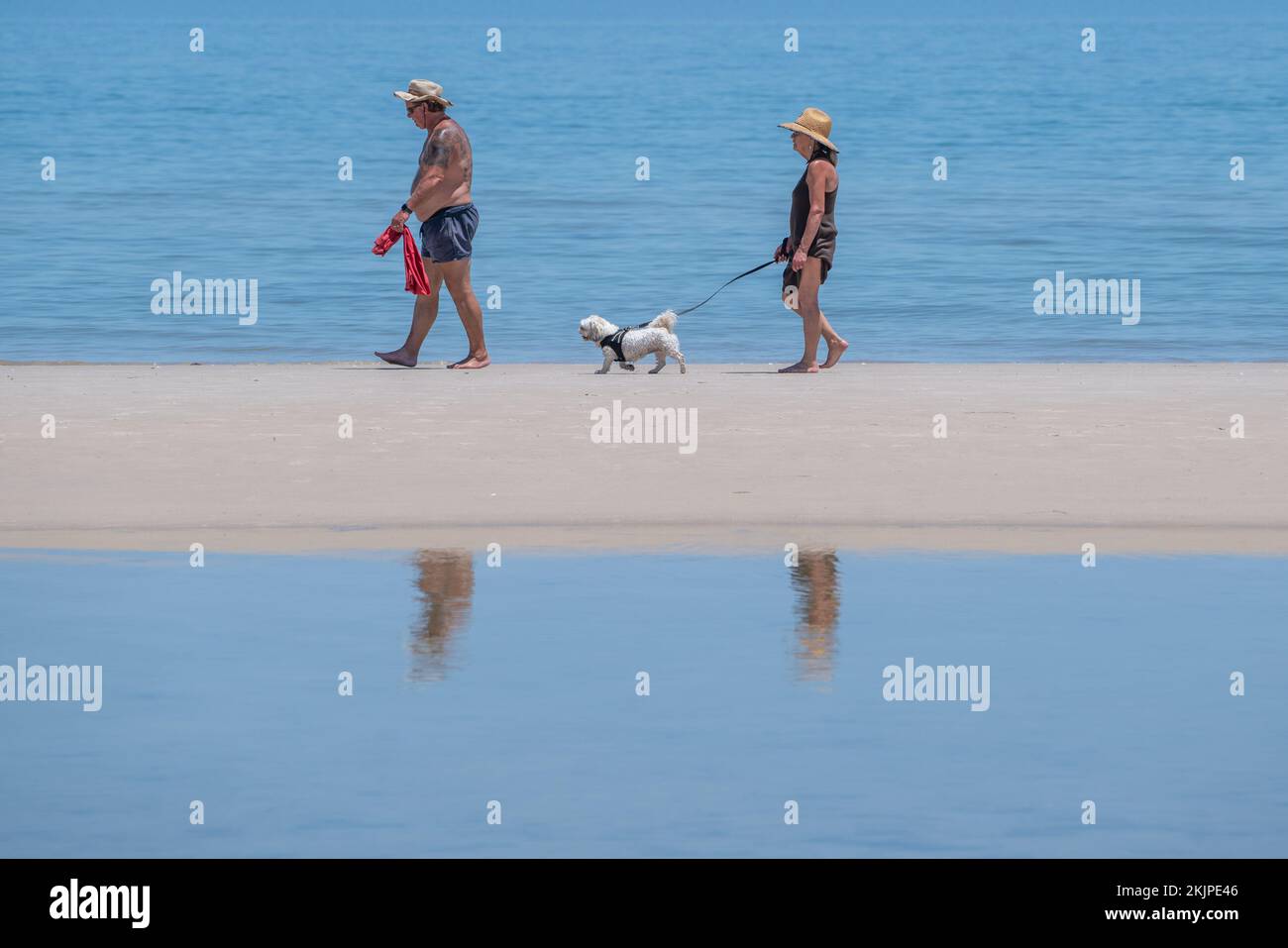 Adelaide, Australia. 25 November 2022.  People walkling their dog along the ocean shore during the hot weather  in Adelaide Australia as temperatures are forecast to reach above 30celsius. Credit: amer ghazzal/Alamy Live News Stock Photo