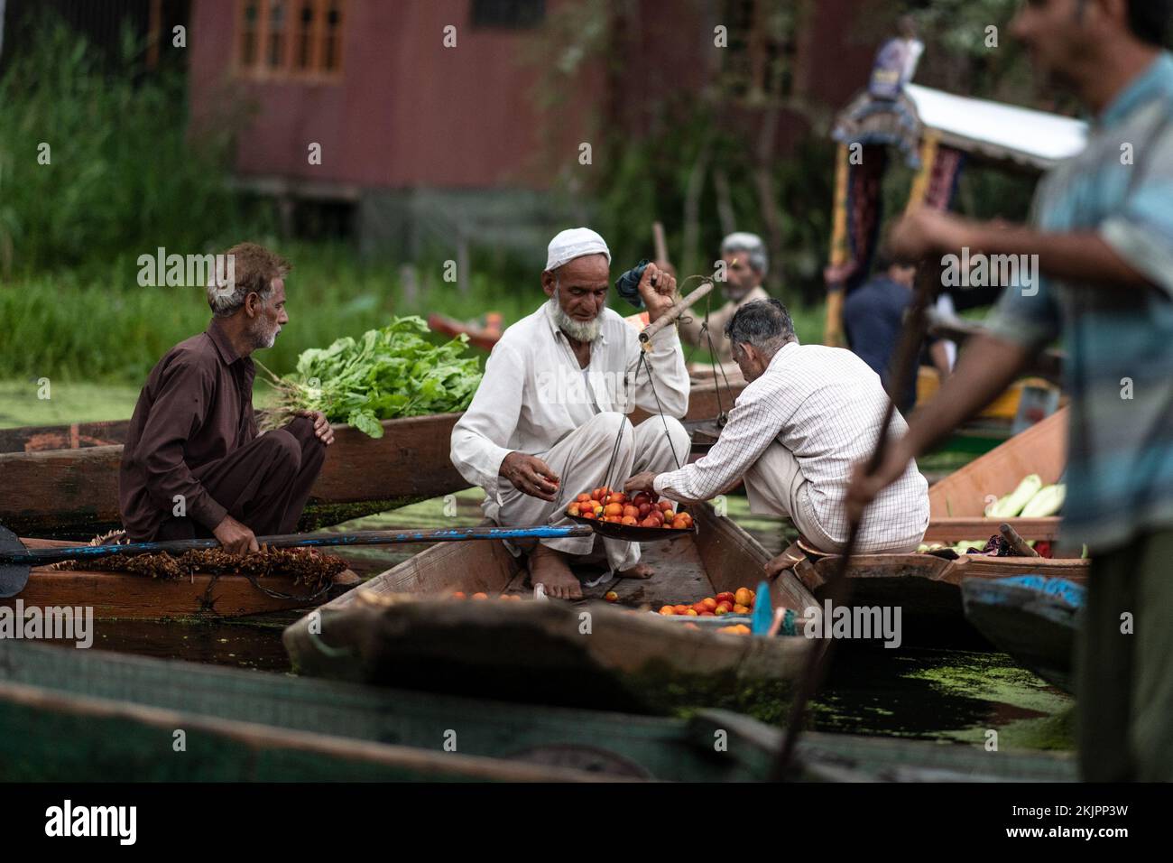 India, Srinagar, 2022-07-29. Men trade vegetables at the floating market in Srinagar. Photograph by Alexander BEE / Hans Lucas. Inde, Srinagar, 2022-0 Stock Photo