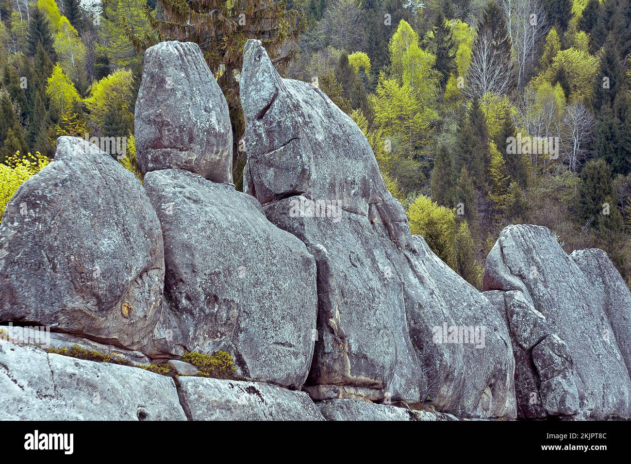 Huge ancient stones in forest landscape photo Stock Photo
