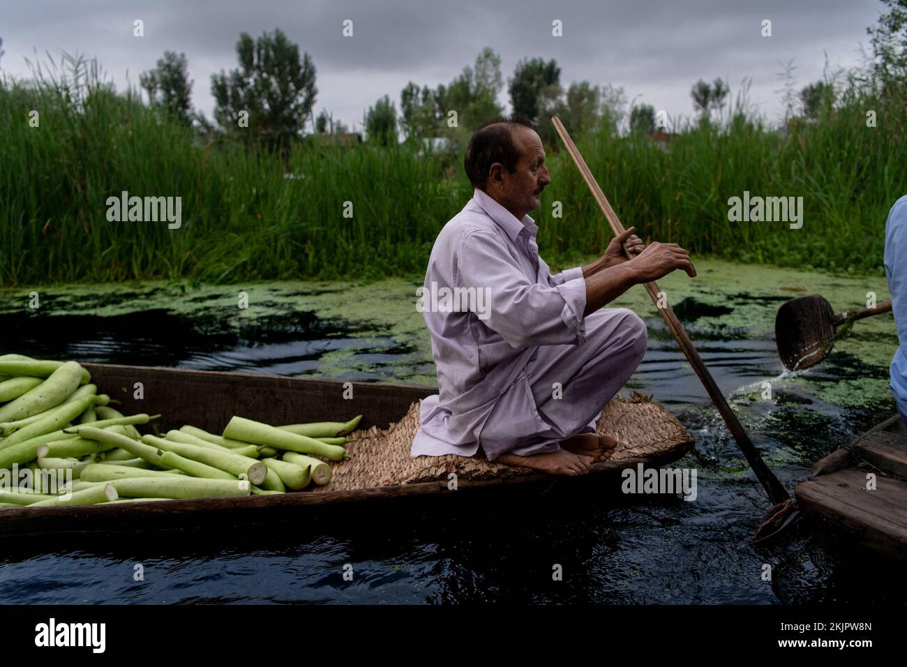 India, Srinagar, 2022-07-29. A man rows his boat in the floating market ...