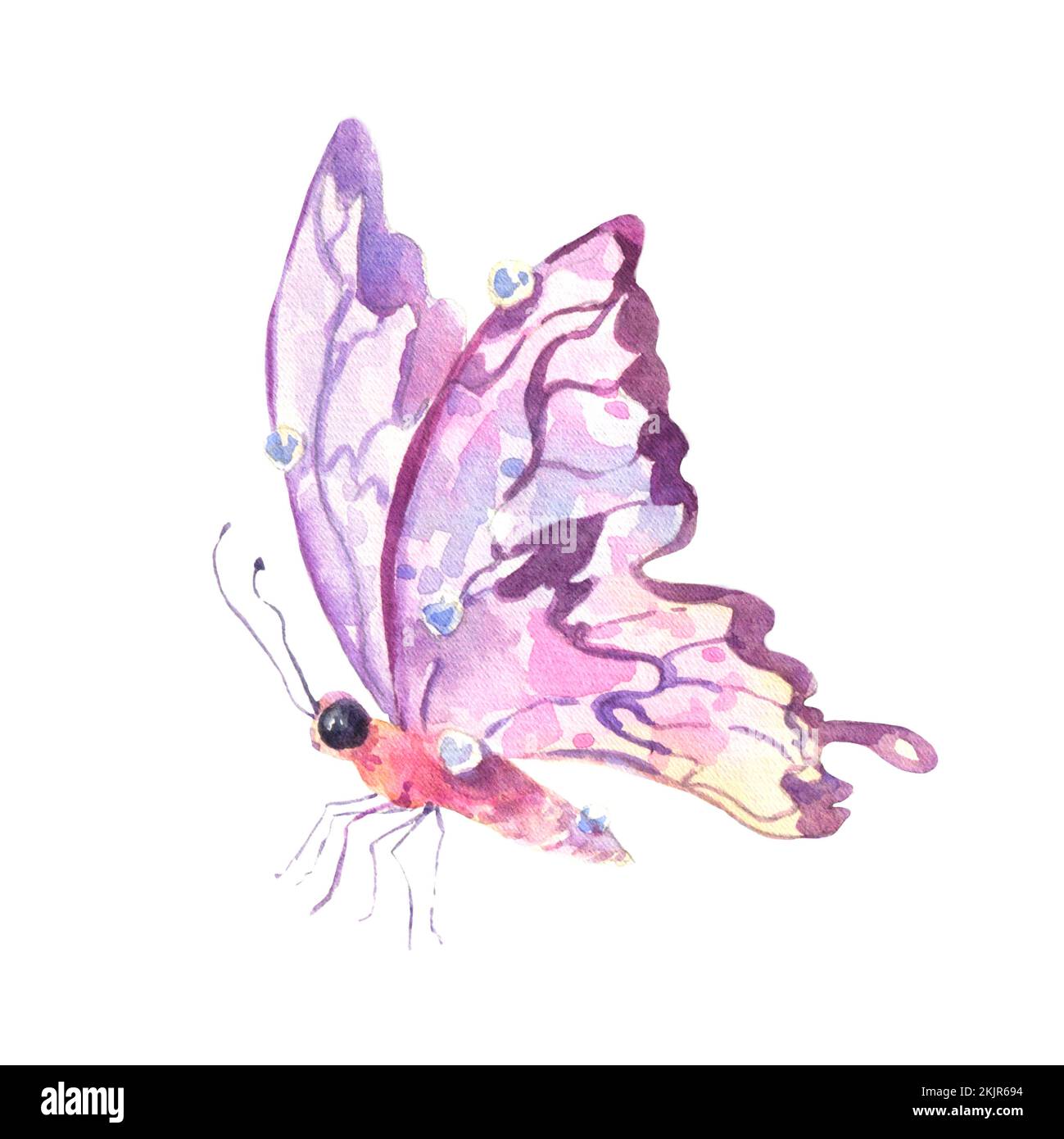 Watercolor multicolored butterfly for design. isolated on white background. Stock Photo