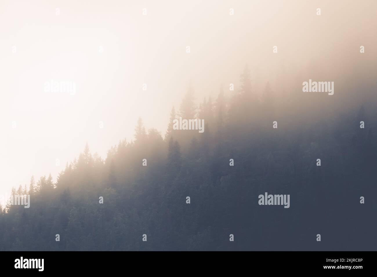 Foggy forest mountain. Beautiful evening sunset in vintage retro style Stock Photo