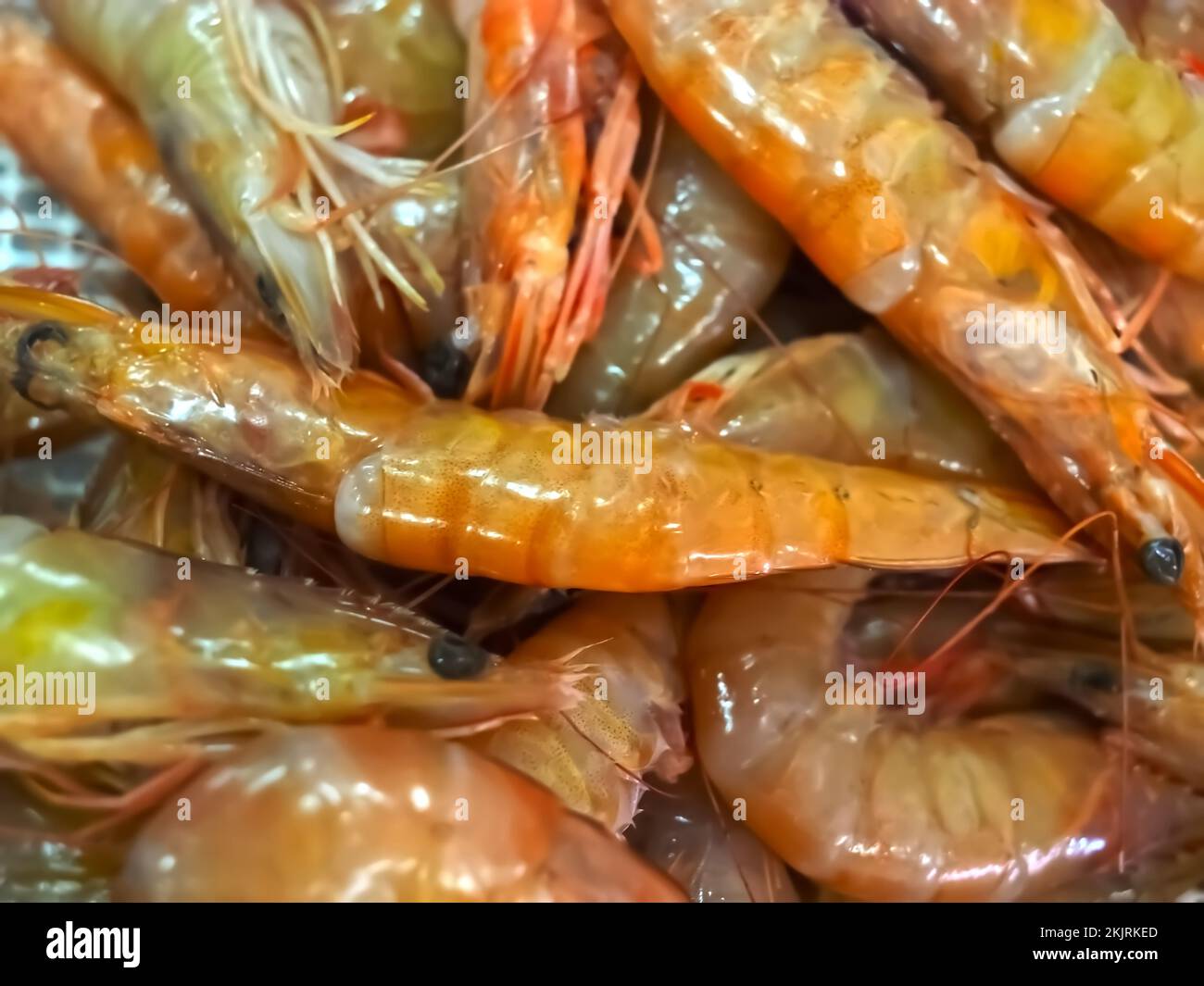 Raw black tiger prawns hi-res stock photography and images - Alamy