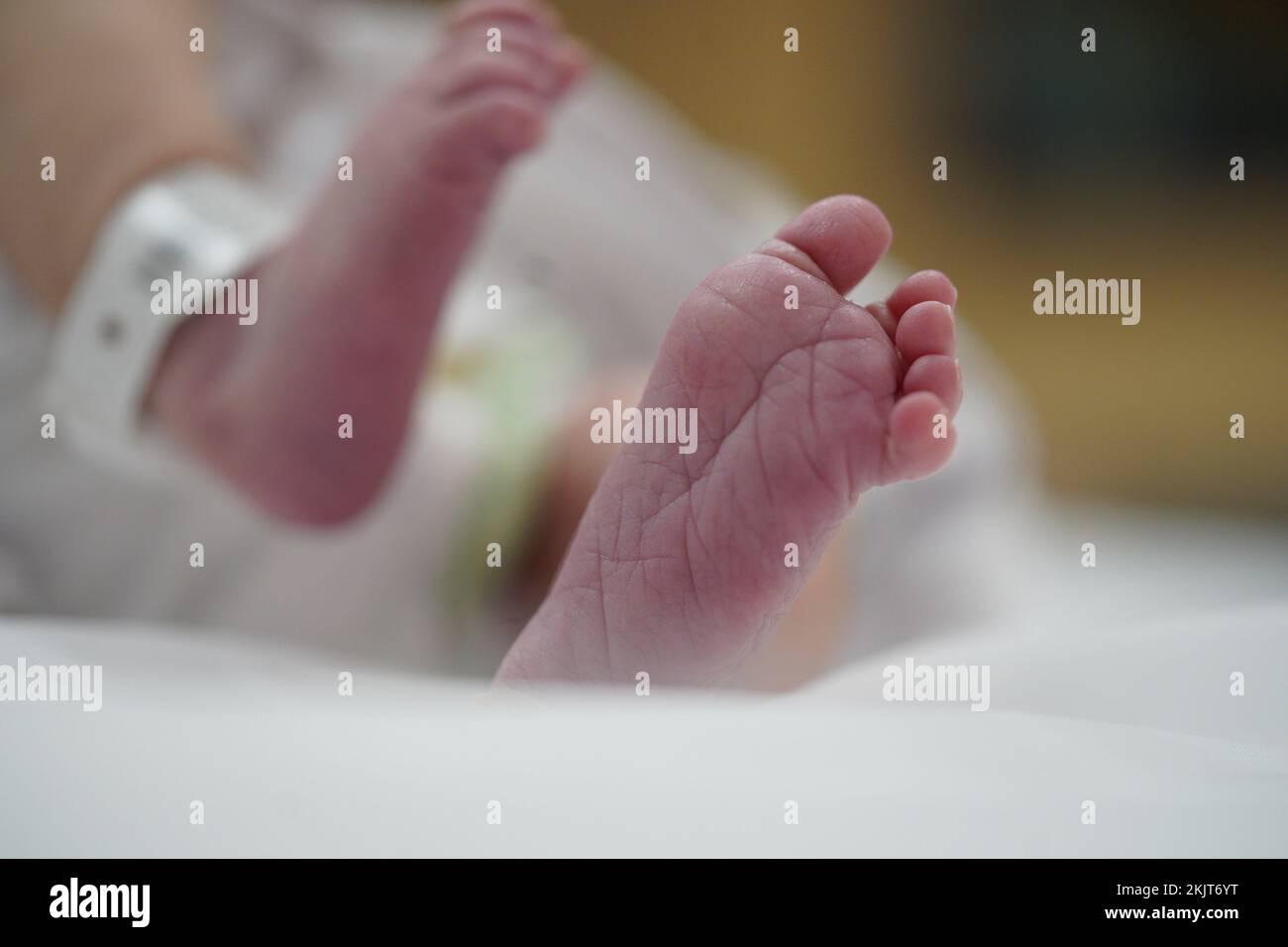 Newborn baby foot with identification bracelet in the hospital. Stock Photo