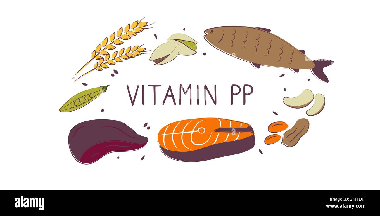 Vitamin B3 Niacinamide Vitamin PP niacin Nicotinamide. Groups of healthy products containing