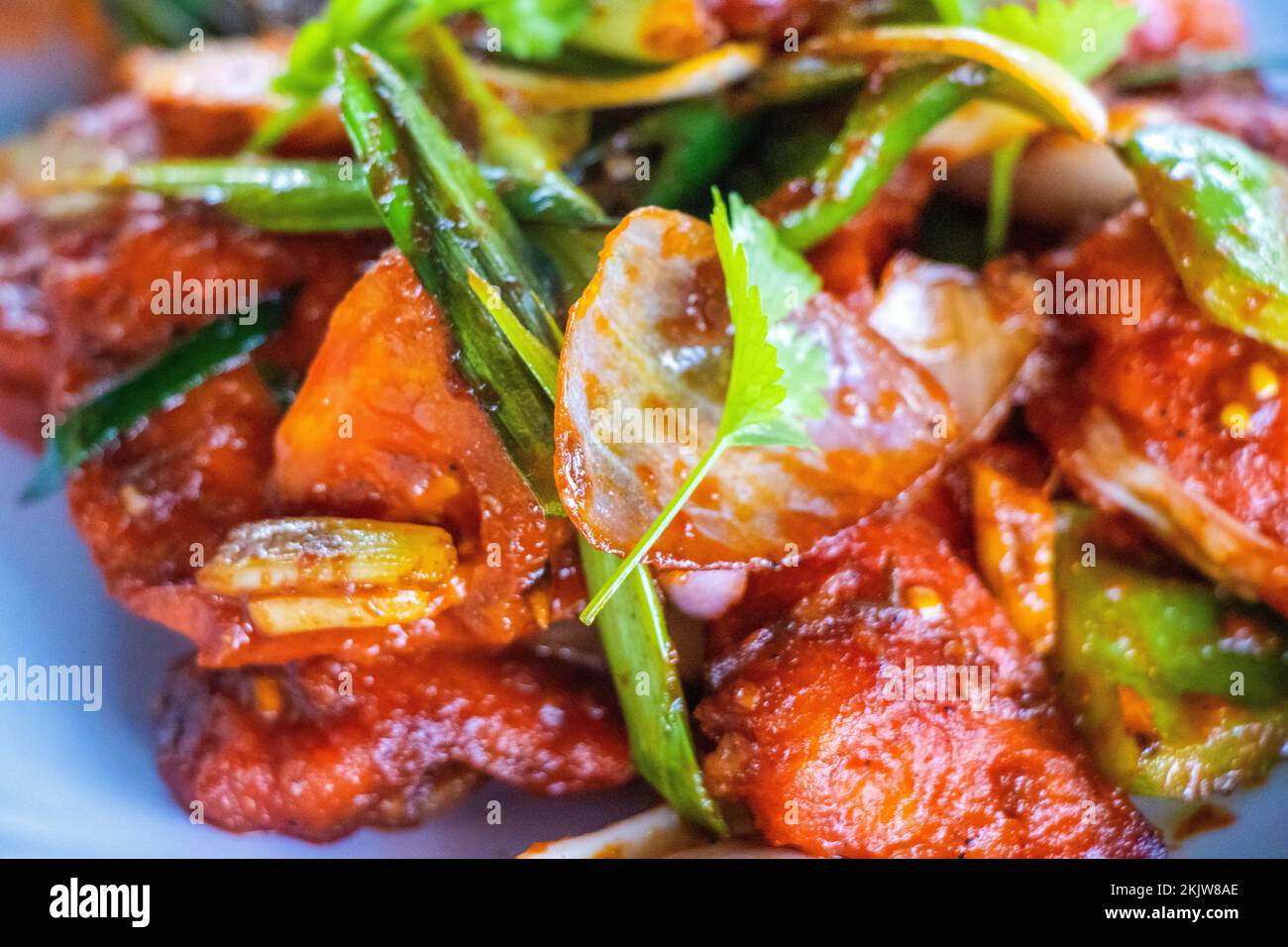 Spicy Nepali Chicken Chilly  with Salad Indian Style Chicken Chilly Stock Photo