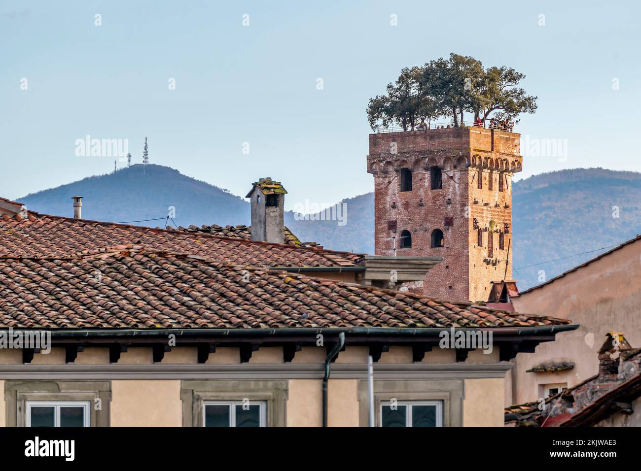 The beautiful Torre Guinigi tower with trees above, stands among the rooftops of the historic center of Lucca, Tuscany, Italy Stock Photo