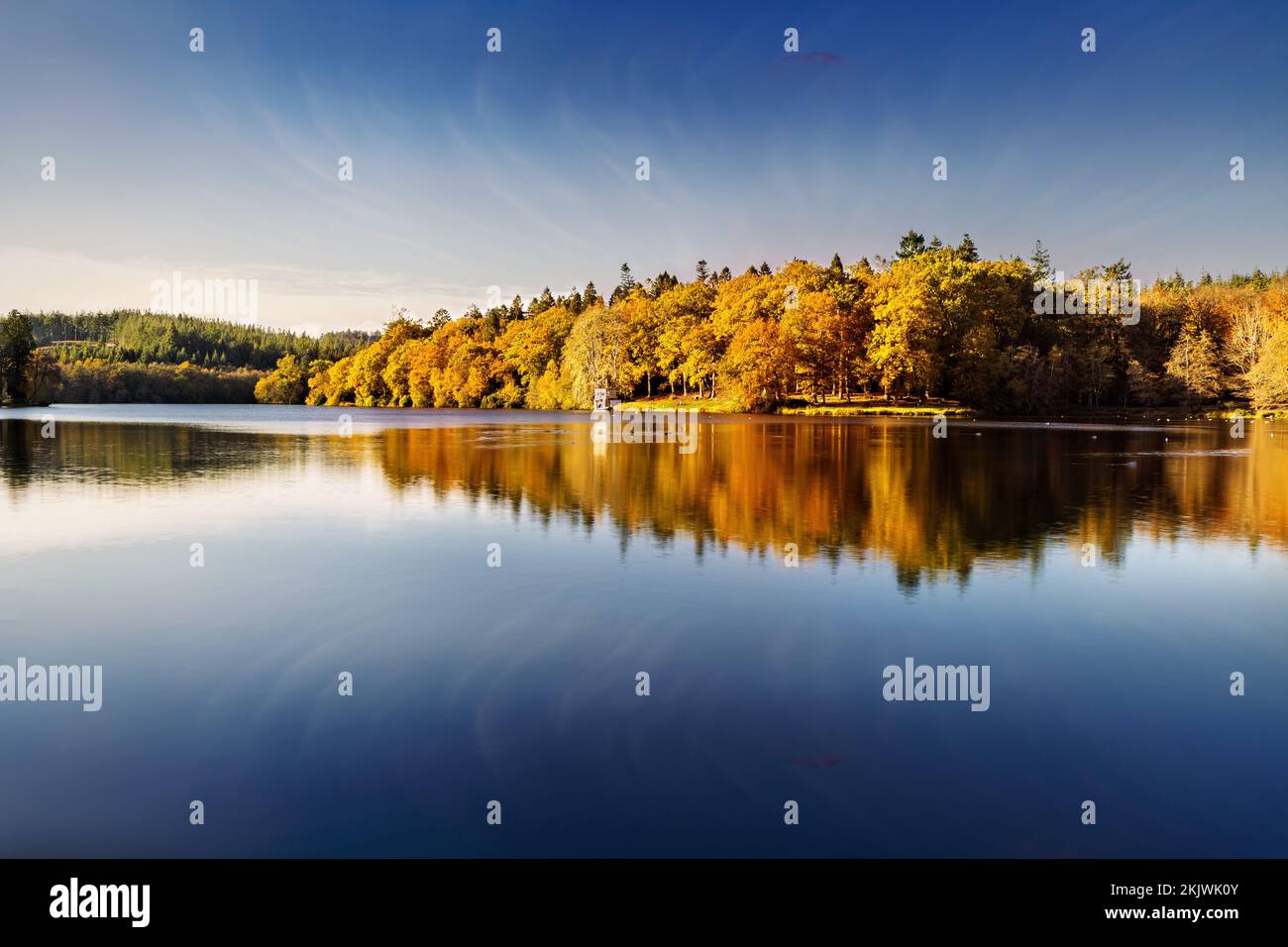 Autumn at Shearwater Lake, Wiltshire Stock Photo