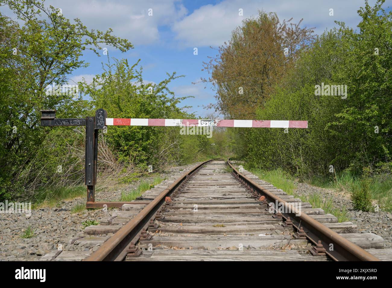Stillgelegte Bahnstrecke nahe Ratzeburg, Schleswig-Holstein, Deutschland Stock Photo