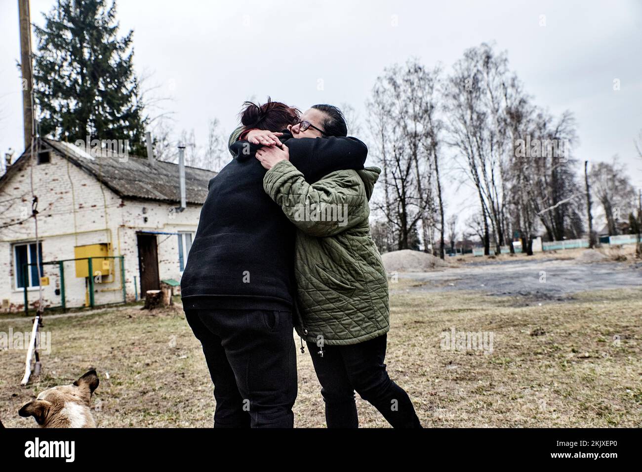 Antonin Burat / Le Pictorium -  War in Ukraine: David stands up to Goliath -  26/3/2022  -  Ukraine / OBLAST OF KYIV  -  Two Ukrainian women hug each Stock Photo