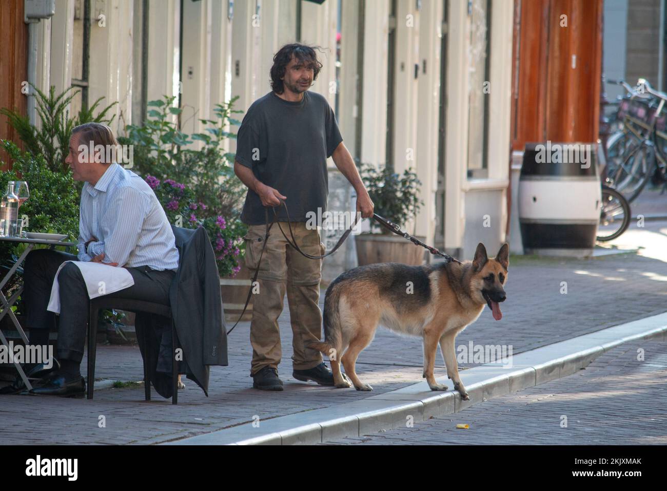Dog amsterdam hi-res stock photography and images - Page 2 - Alamy