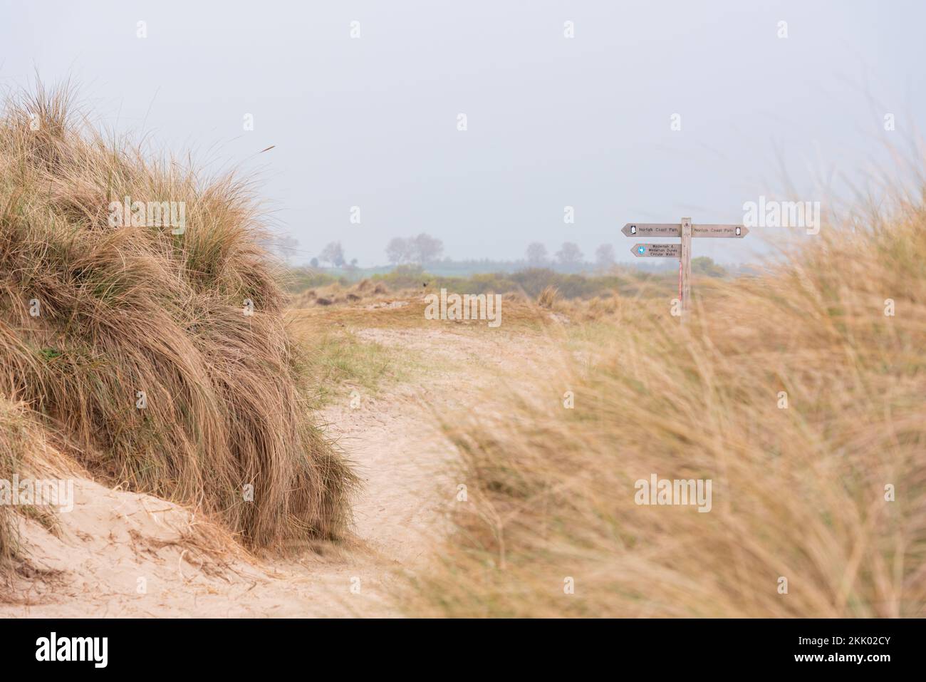 Winterton dunes, Norfolk ii with Norfolk Coast Path sign. Winterton, May 2022 Stock Photo