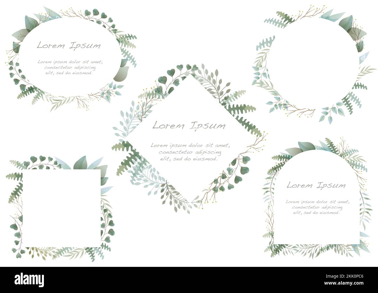 Vector Watercolor Floral Frame Set Isolated On A White Background Stock ...