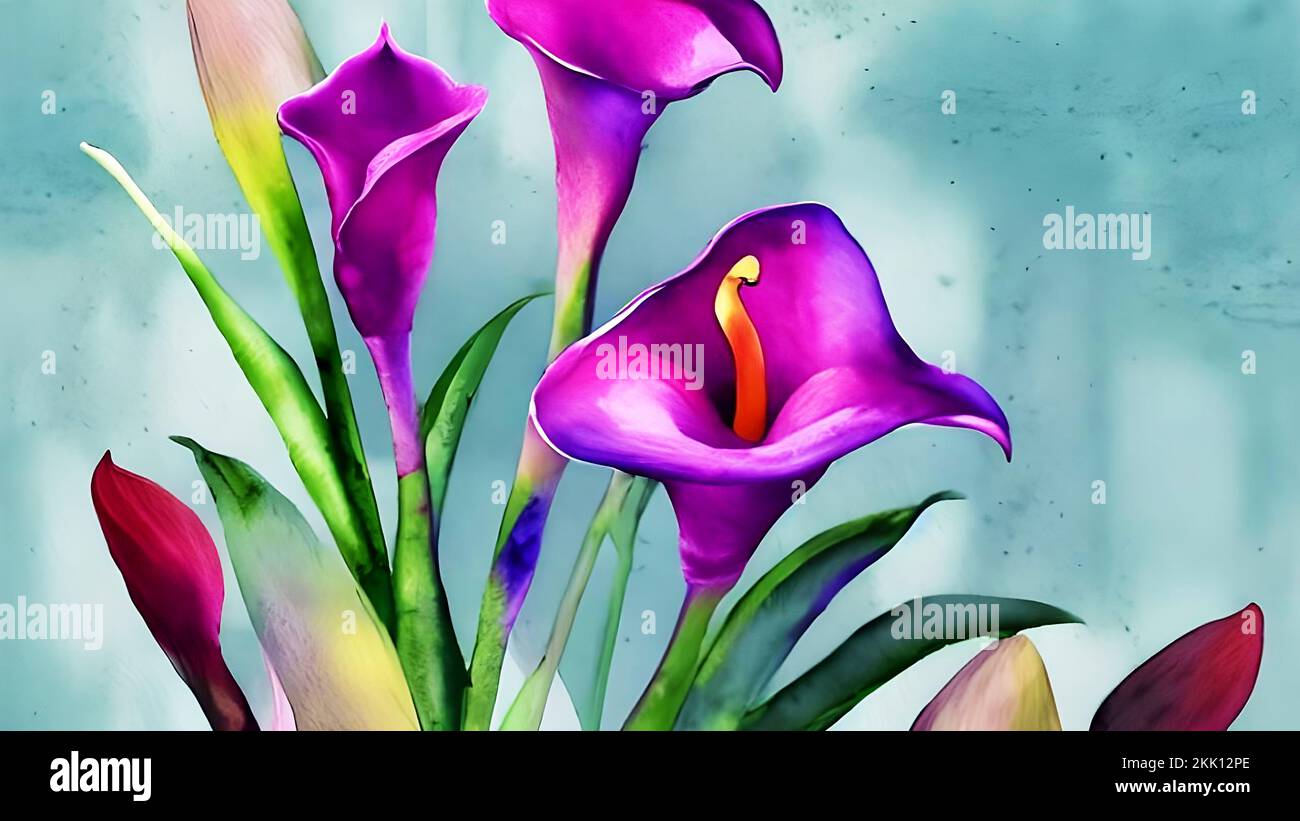 watercolor painting calla lily flowers illustration, colorful