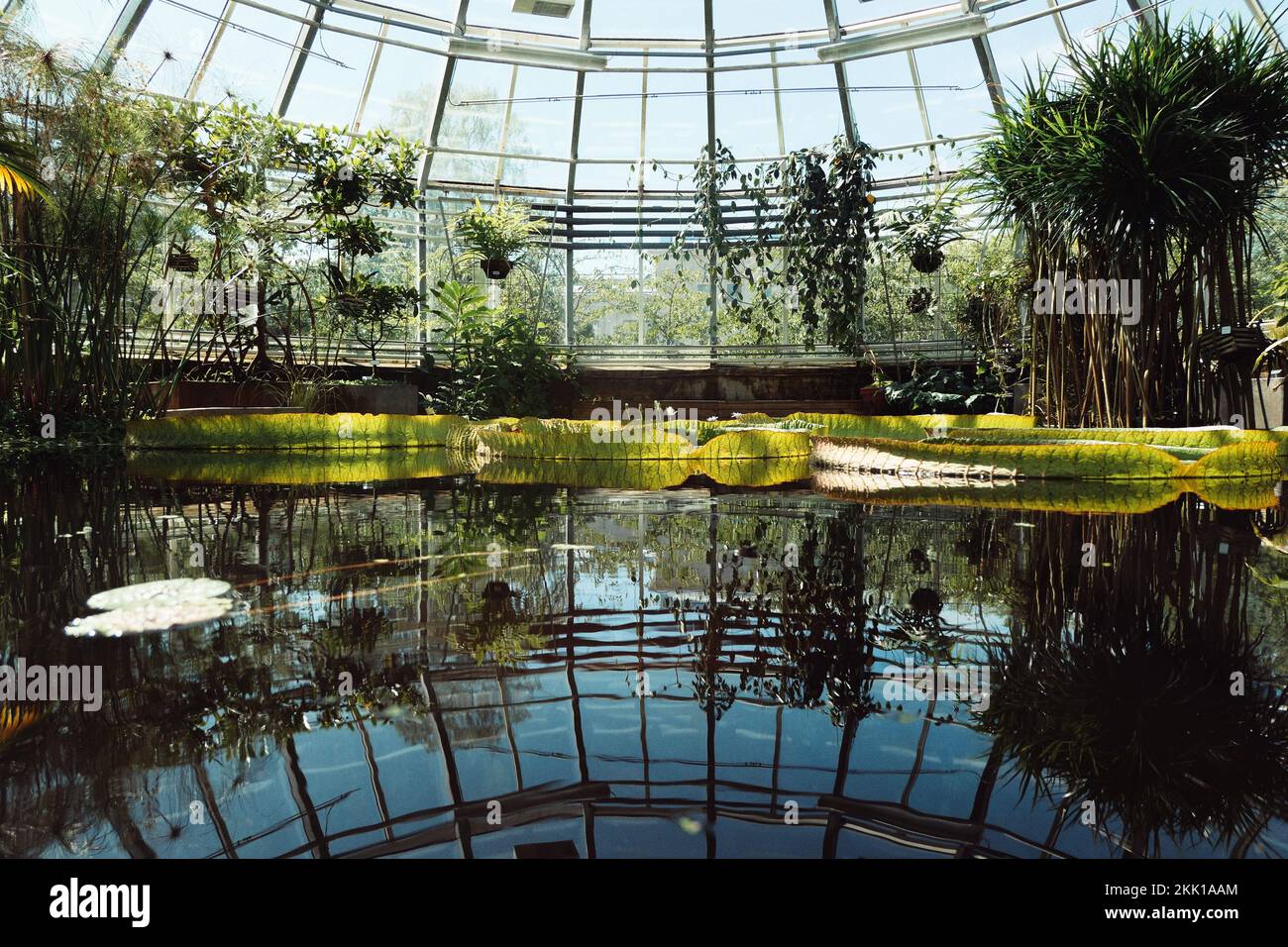 Shade glass greenhouse hi-res stock photography and images - Alamy