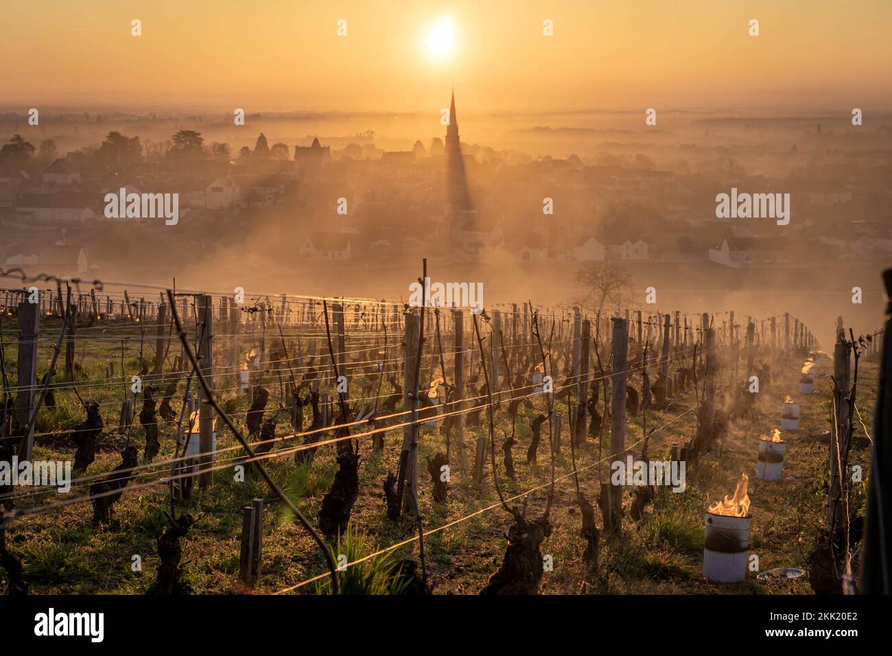 Frost in Burgundy and workers lighting up candles to protect the