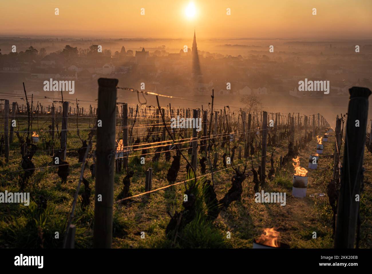 Frostprotection hires stock photography and images Alamy