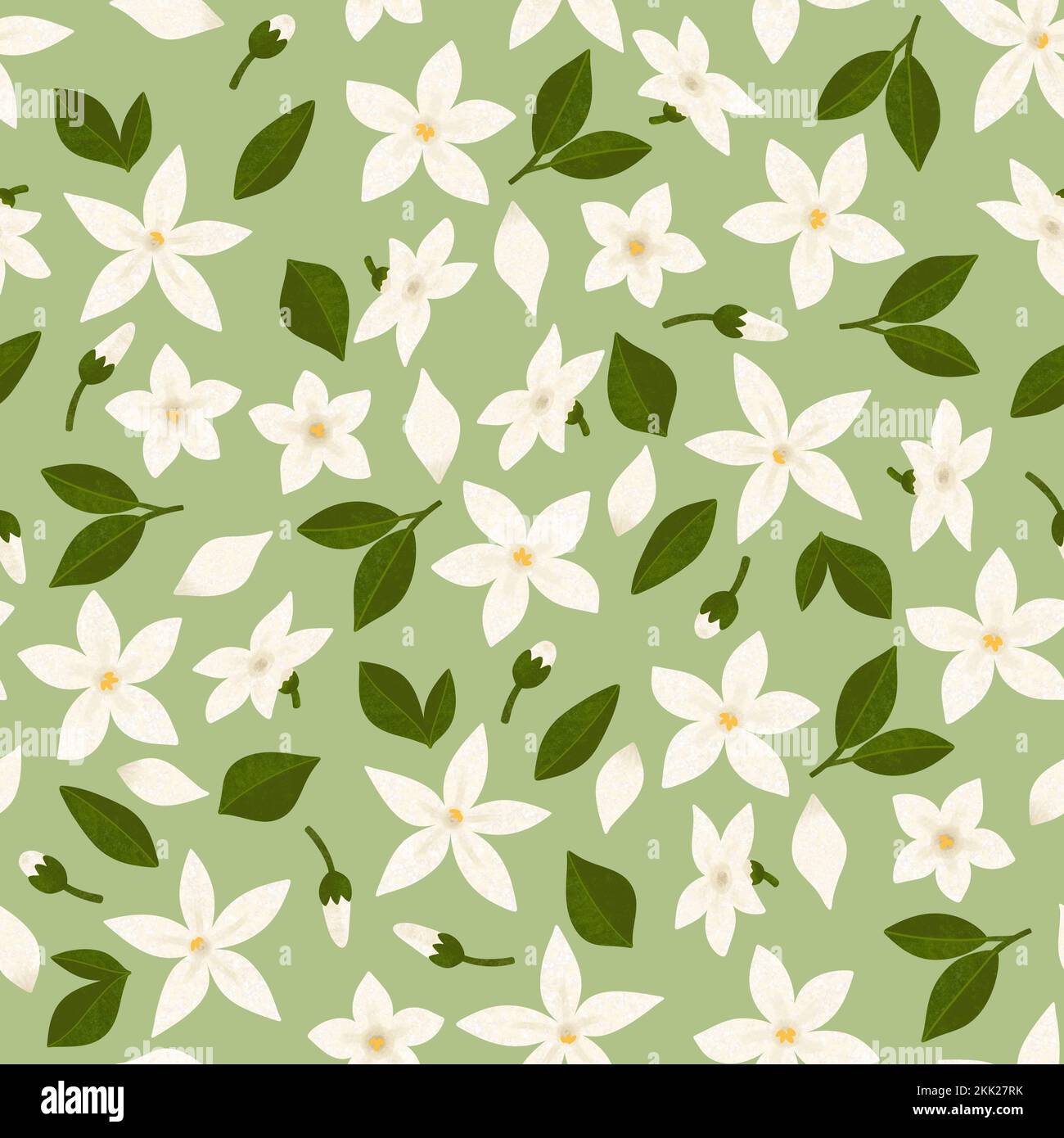 Jasmine pattern hi-res stock photography and images - Alamy