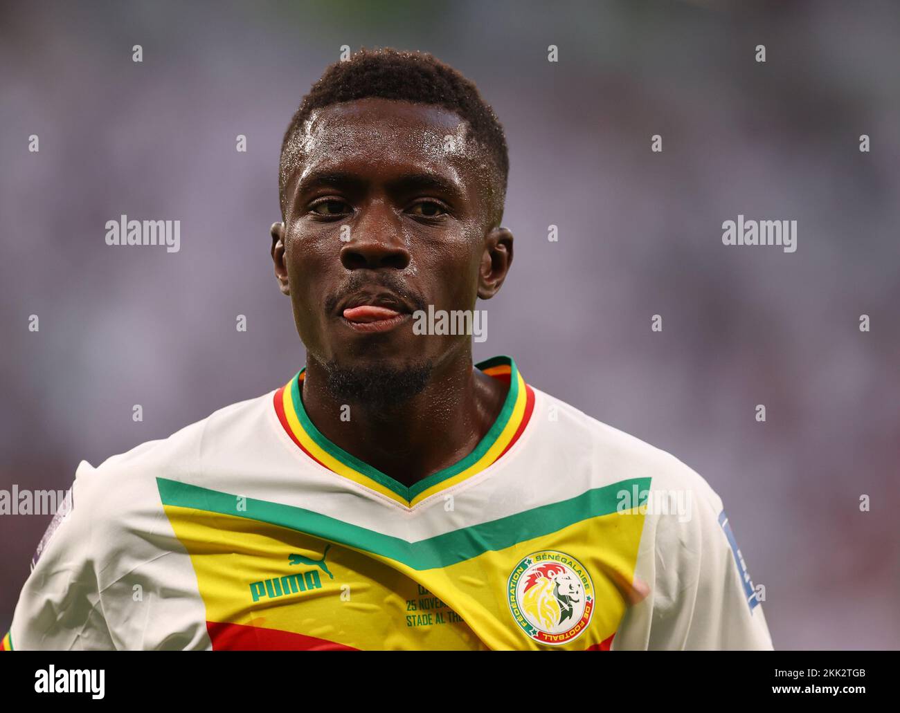 Doha, Qatar, 25th November 2022.  Idrissa Gueye of Senegal during the FIFA World Cup 2022 match at Al Thumama Stadium, Doha. Picture credit should read: David Klein / Sportimage Credit: Sportimage/Alamy Live News Credit: Sportimage/Alamy Live News Stock Photo