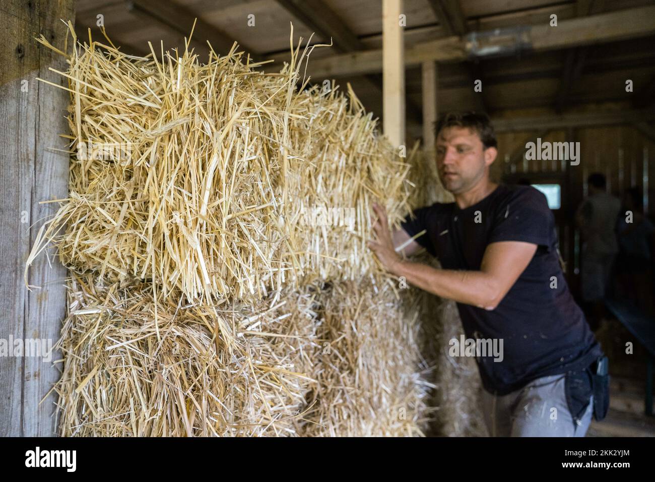 Obernsees, Germany. 26th Aug, 2022. Florian Hoppe, board member at Fachverband Strohballenbau (FASBA e.V.), inserts a straw bale into a planned straw bale wall. Building with clay around straw is an old method, but its sustainability may even make it a model for the future. Credit: Nicolas Armer/dpa/Alamy Live News Stock Photo