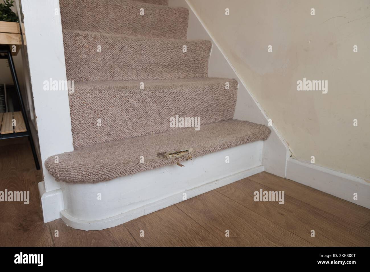 Risk of injury due to tripping or slipping on worn carpet on stairs