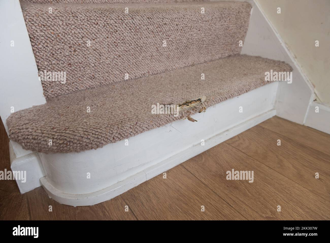 Risk of injury due to tripping or slipping on worn carpet on stairs