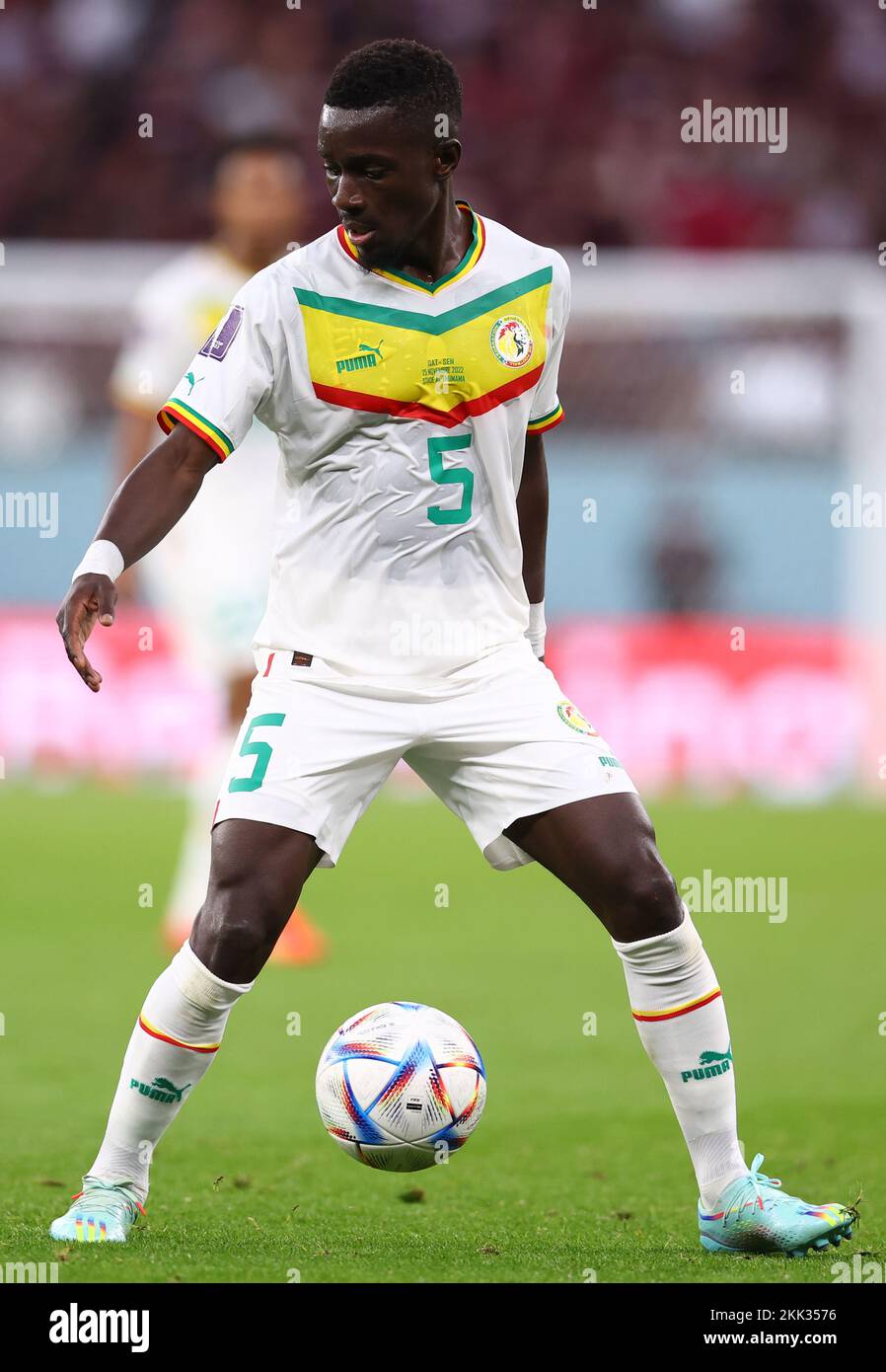 Doha, Qatar, 25th November 2022. Idrissa Gueye of Senegal  during the FIFA World Cup 2022 match at Al Thumama Stadium, Doha. Picture credit should read: David Klein / Sportimage Credit: Sportimage/Alamy Live News Credit: Sportimage/Alamy Live News Stock Photo