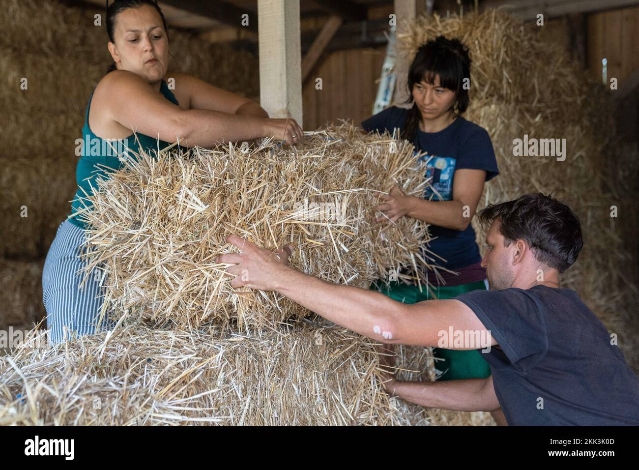 Obernsees, Germany. 26th Aug, 2022. Florian Hoppe, board member at Fachverband Strohballenbau (FASBA e.V.), inserts a straw bale into a planned straw bale wall together with his wife Sarah (l) and Elena Michel from the University of Bayreuth. Building with clay around straw is an old method, but its sustainability may even make it a model for the future. Credit: Nicolas Armer/dpa/Alamy Live News Stock Photo