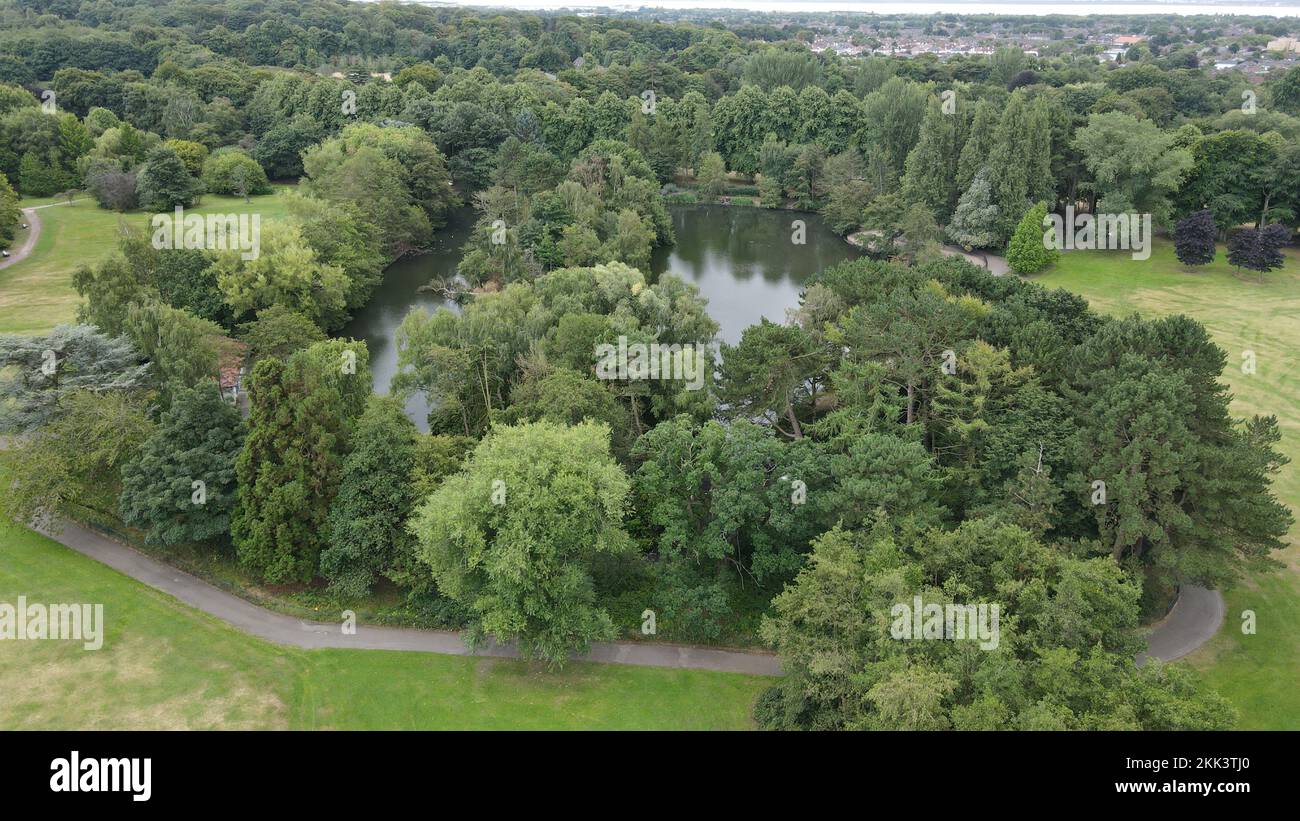 An aerial view of green trees in a forest Stock Photo - Alamy