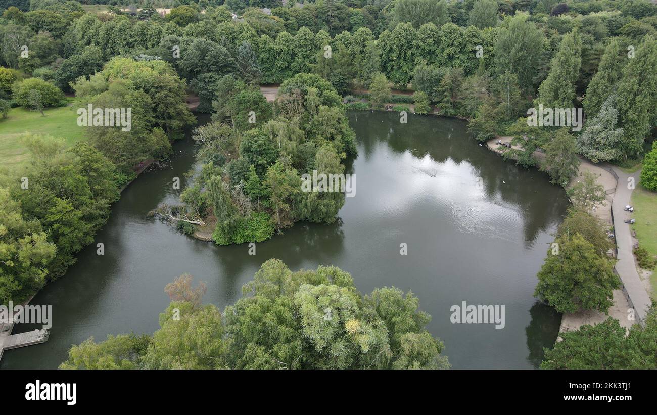 An aerial view of green trees and a pond in a forest Stock Photo - Alamy