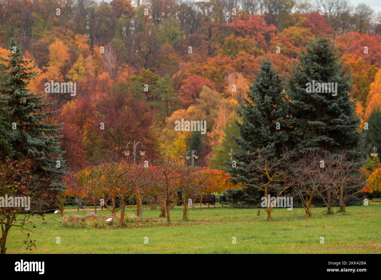 A beautiful landscape of a park with autumn colorful trees Stock Photo ...