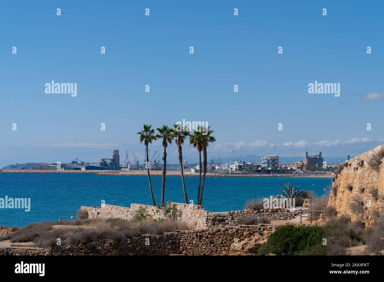 Palm trees Tarragona Spain and port blue Mediterranean sea spanish coast city Stock Photo