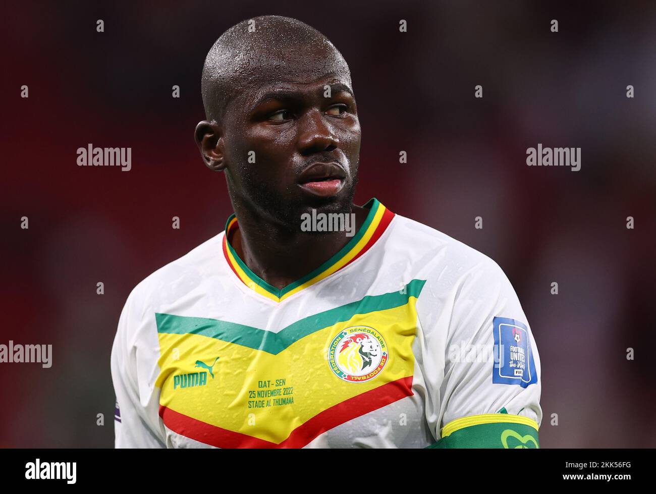 Official Nameset - Senegal, Koulibaly, 2022, Home, Green