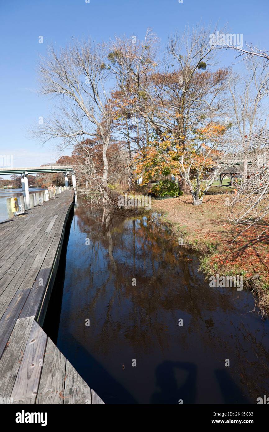 Boardwalk running along the edge of Cypress Park, next to the