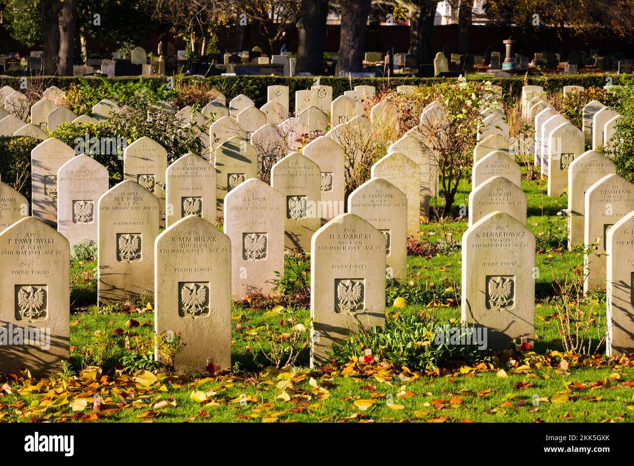 Commonwealth War Graves Commission Polish headstones in Newark Cemetery Polish plot. Nottinghamshire, England Stock Photo
